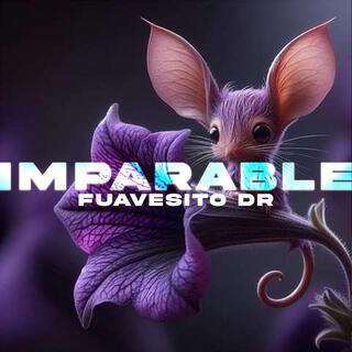 IMPARABLE