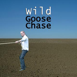 Wild Goose Chase lyrics | Boomplay Music