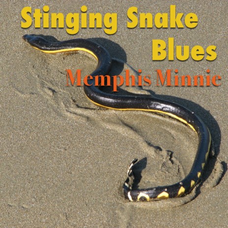 Moaning The Blues | Boomplay Music