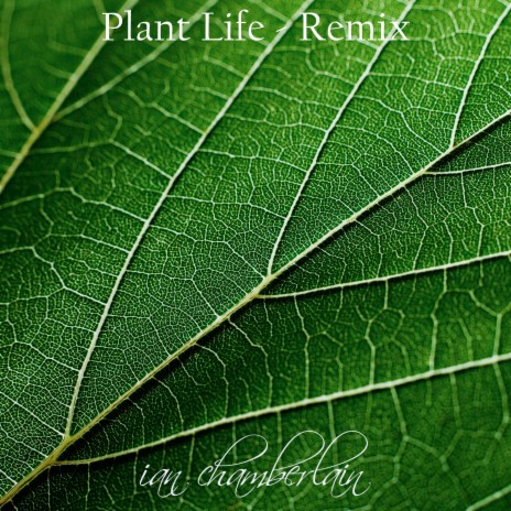 Plant Life (Remix)