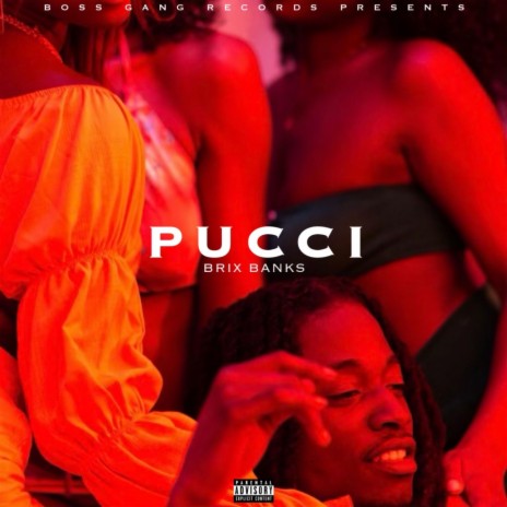 Pucci | Boomplay Music