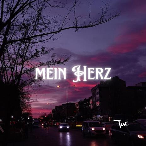 Mein Herz (alternativ version)