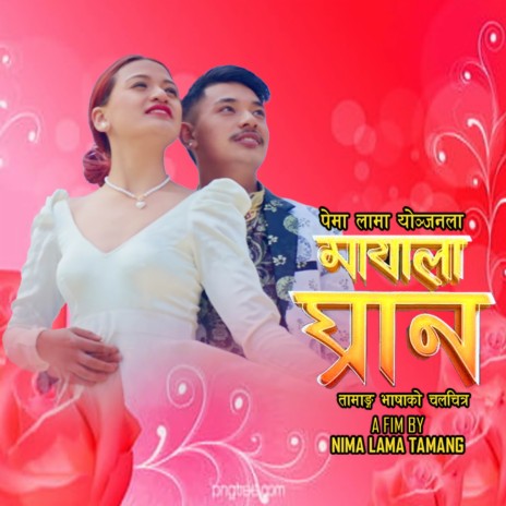 Maya La Ghran - Tamang Movie Song Ea Ngase Chaba Maya La Ghran | Boomplay Music