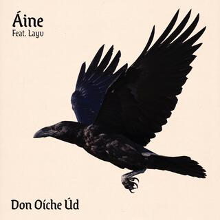 Don Oíche Úd