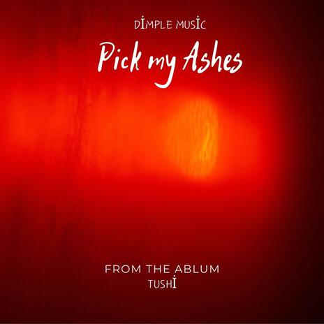 Pick My Ashes | Boomplay Music