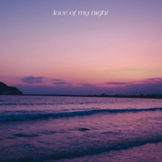 The Love of My Night lyrics | Boomplay Music