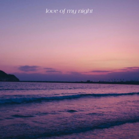 The Love of My Night | Boomplay Music