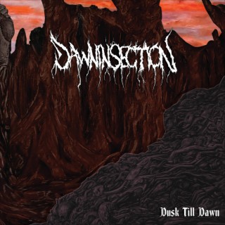 Dawninsection