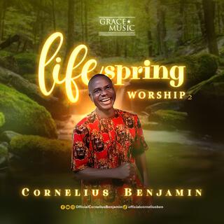 LIFESPRING WORSHIP VOL 2