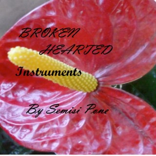 Broken Hearted...instruments