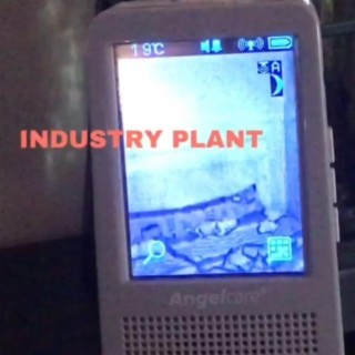 INDUSTRY PLANT