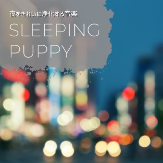 夜をきれいに浄化する音楽