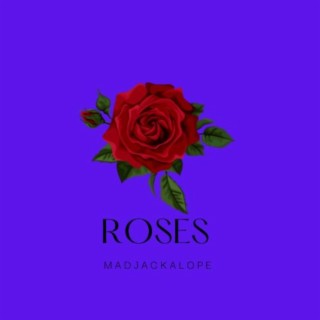 Roses lyrics | Boomplay Music