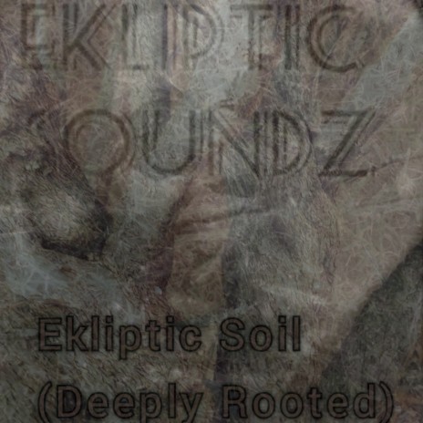 Ekliptic Foundation (Intro)