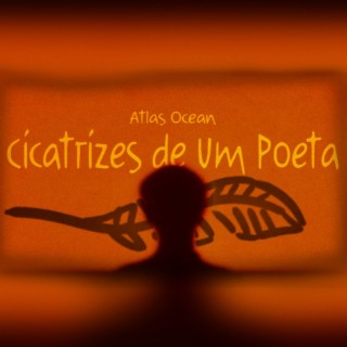 Cicatrizes de Um Poeta