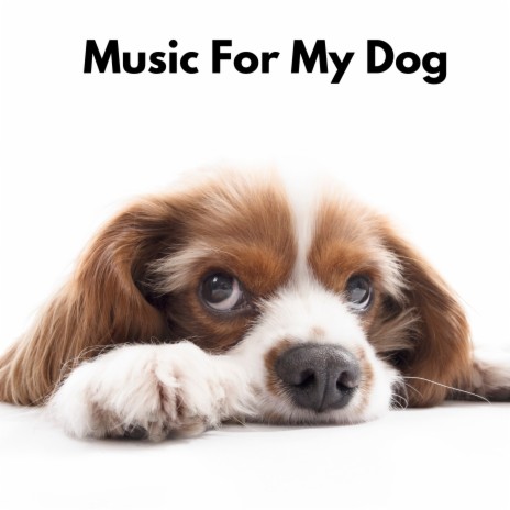 Dog Music Therapy ft. Relax My Dog Music & Relaxing Music for Dogs | Boomplay Music