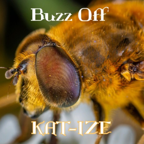 Buzz Off | Boomplay Music