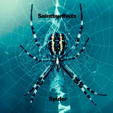 Spider | Boomplay Music