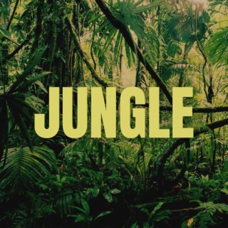 Jungle (Jersey Club)