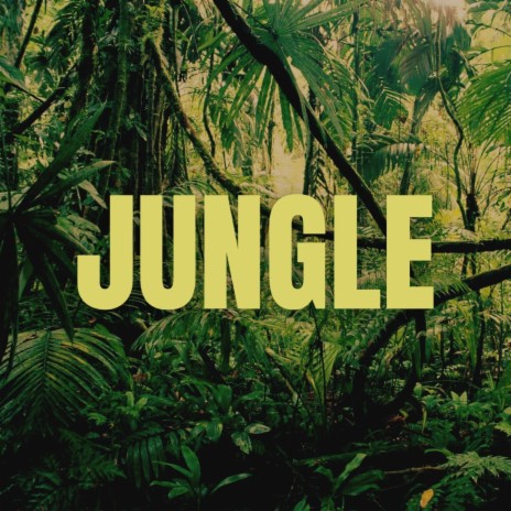 Jungle (Jersey Club) | Boomplay Music