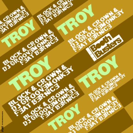 Troy ft. DJ Groovemonkey & Bernice | Boomplay Music