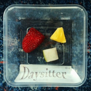 Daysitter