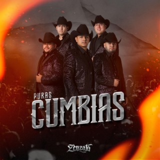 Puras Cumbias (Vol 1)