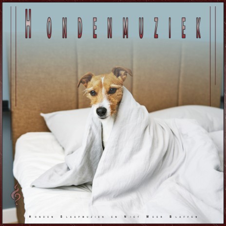 Therapie Muziek voor Honden ft. Slaapmuziek voor Honden & Honden Muziek Universum | Boomplay Music