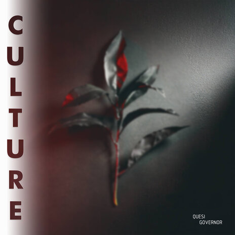 Culture | Boomplay Music