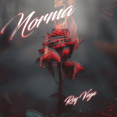 Norma | Boomplay Music