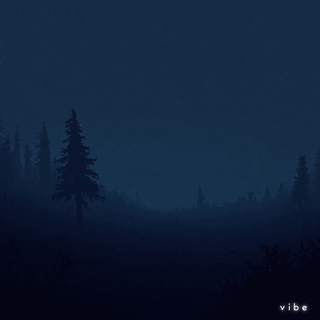 foggy forest