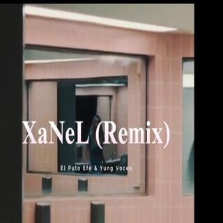 XaNeL (REMIX)