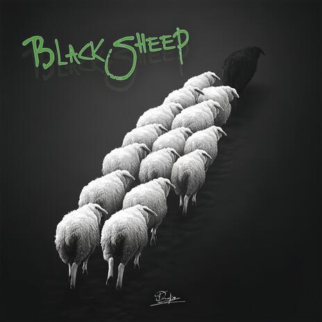 Black Sheep | Boomplay Music