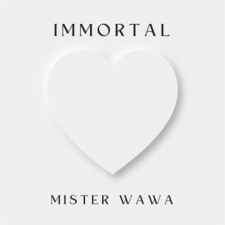 Immortal - Mister Wawa