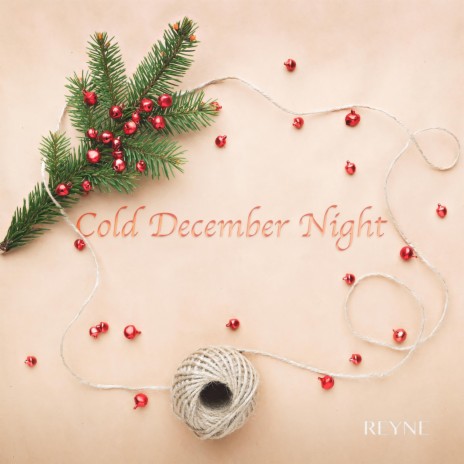Cold December Night | Boomplay Music