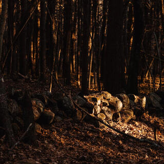 Straddling the Stone Wall