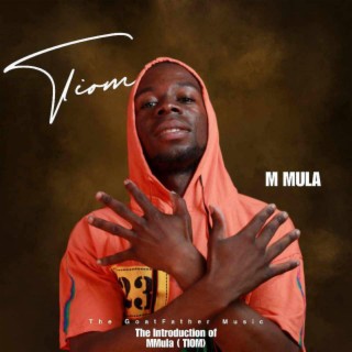 The Introduction of M Mulla