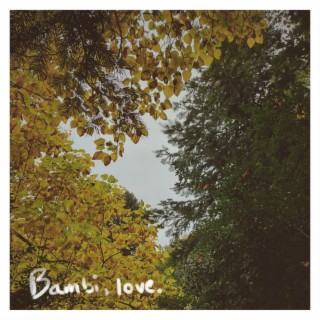 Bambi, love lyrics | Boomplay Music