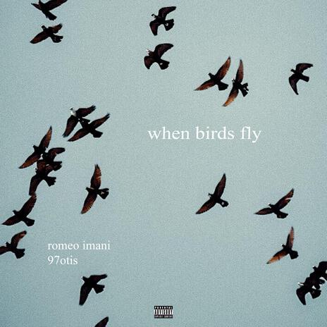 when birds fly ft. 97otis | Boomplay Music