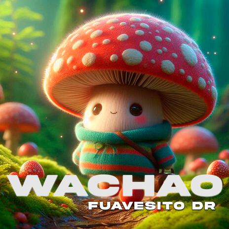 WACHAO | Boomplay Music