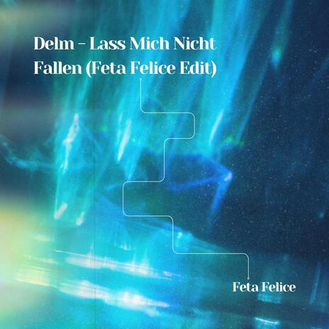 Lass Mich Nicht Fallen (Feta Felice Edit) (Remix) ft. Delm | Boomplay Music