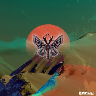 Deadly Butterflies lyrics | Boomplay Music