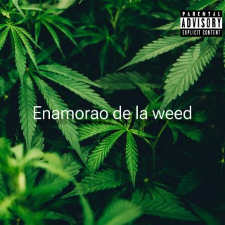 Enamorao De La Weed