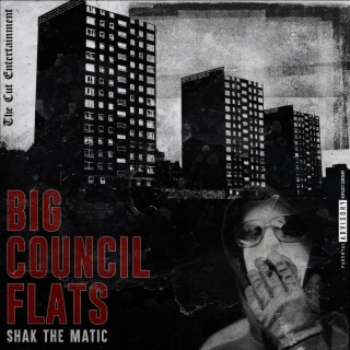 Big Council Flats