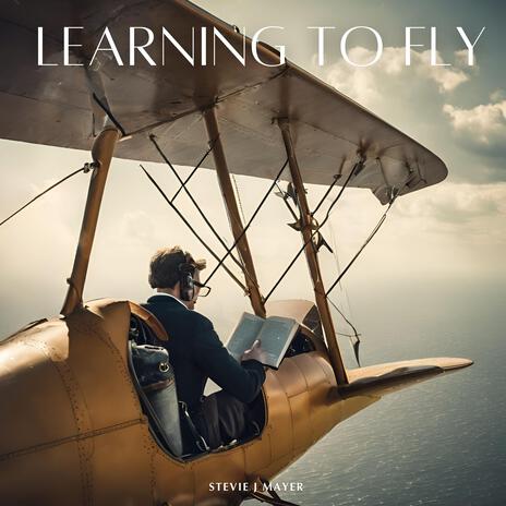 Learning To Fly | Boomplay Music