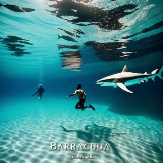 Barracuda lyrics | Boomplay Music