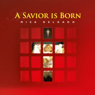 A Savior is Born (Misa Delgado 9)