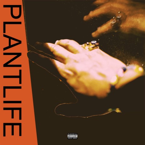 PLANTLIFE | Boomplay Music