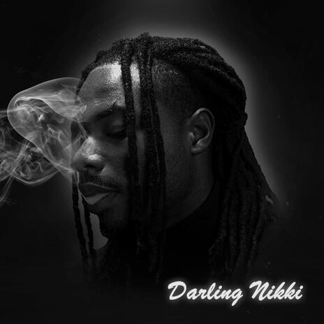 Darling Nikki (Radio Edit) | Boomplay Music