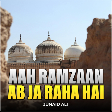 Aah Ramzaan Ab Ja Raha Hai | Boomplay Music